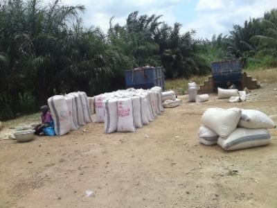 MAIZE LOCAL MARKET.jpg