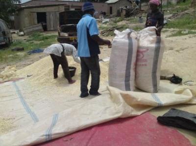 MAIZE LOCAL MARKET5 .jpg